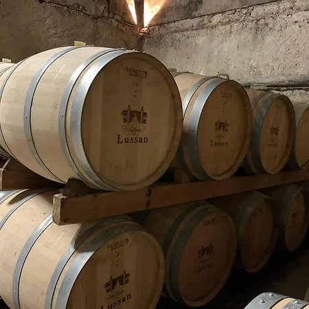 Maison Avec Jardin Privatif Gite Les Chenes De Pastouret, Lussan Ferienhaus